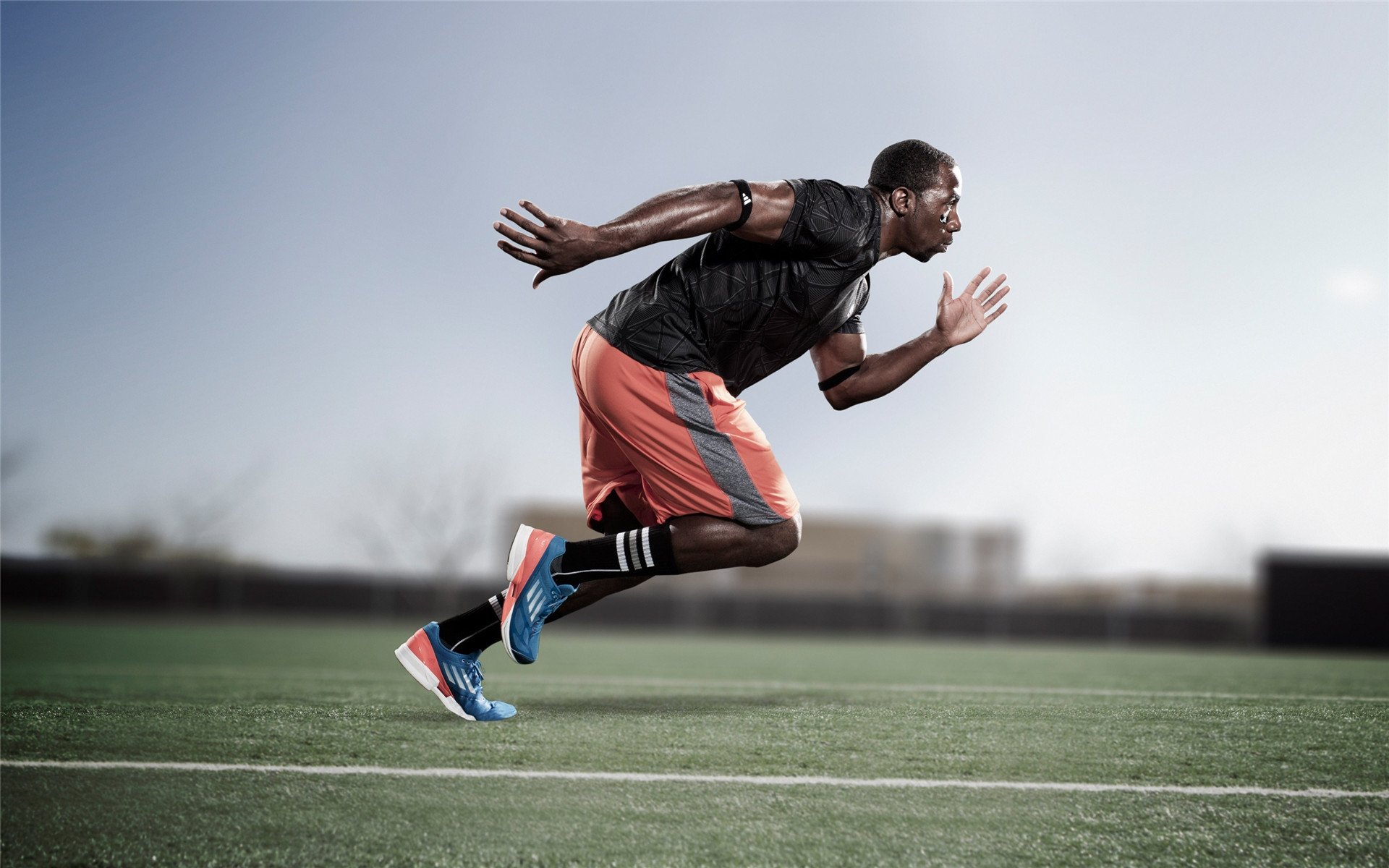 _场馆环境新升级：绿色环保理念引领未来_，绿色环保展台