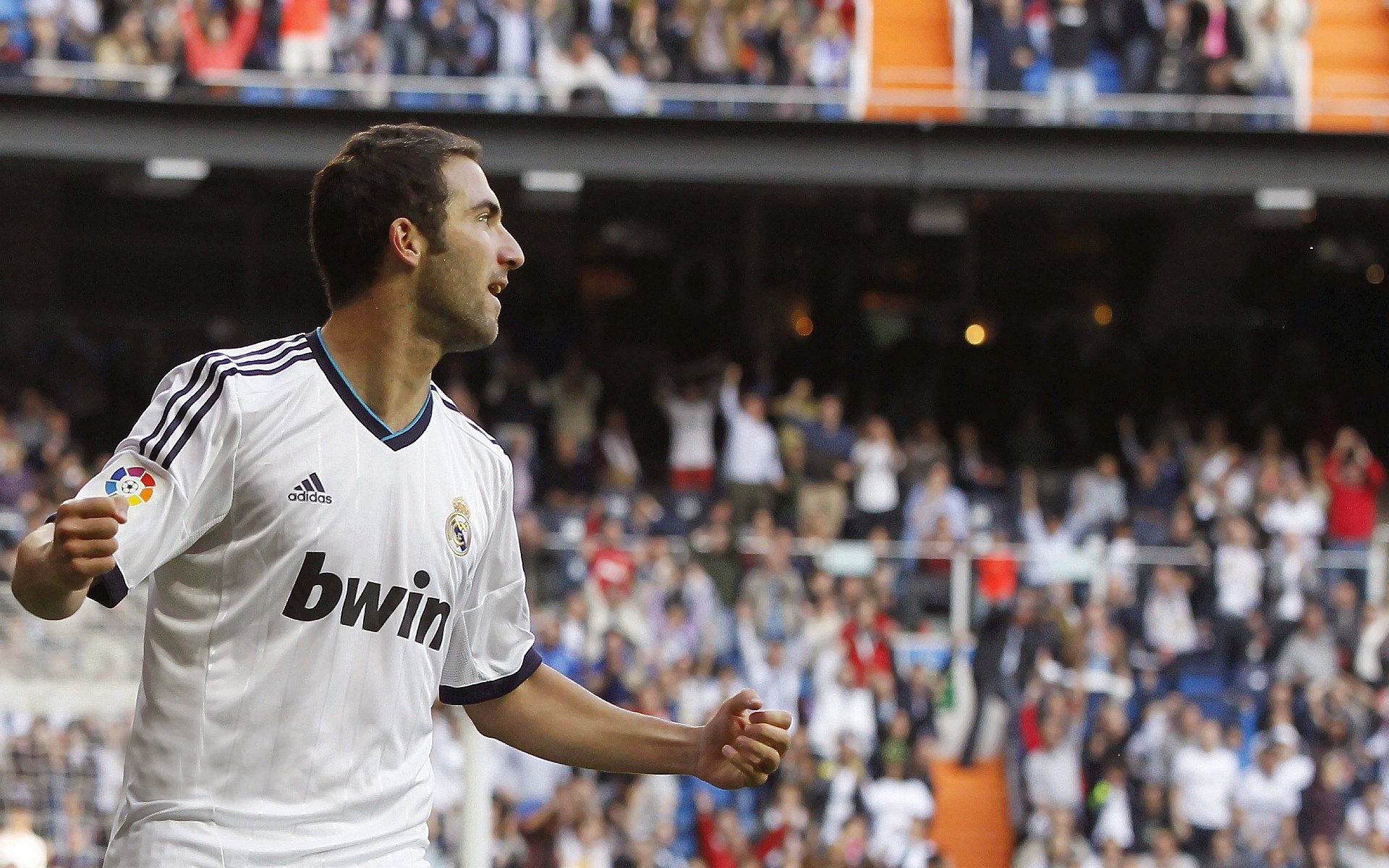 诺维奇主场击败富勒姆，豪取三分，诺维奇球迷